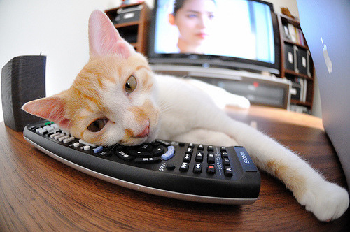 雷火电竞网址-足球时空的量子缠绕，当墨西哥终结国际米兰，卡塞米罗的平行宇宙加冕